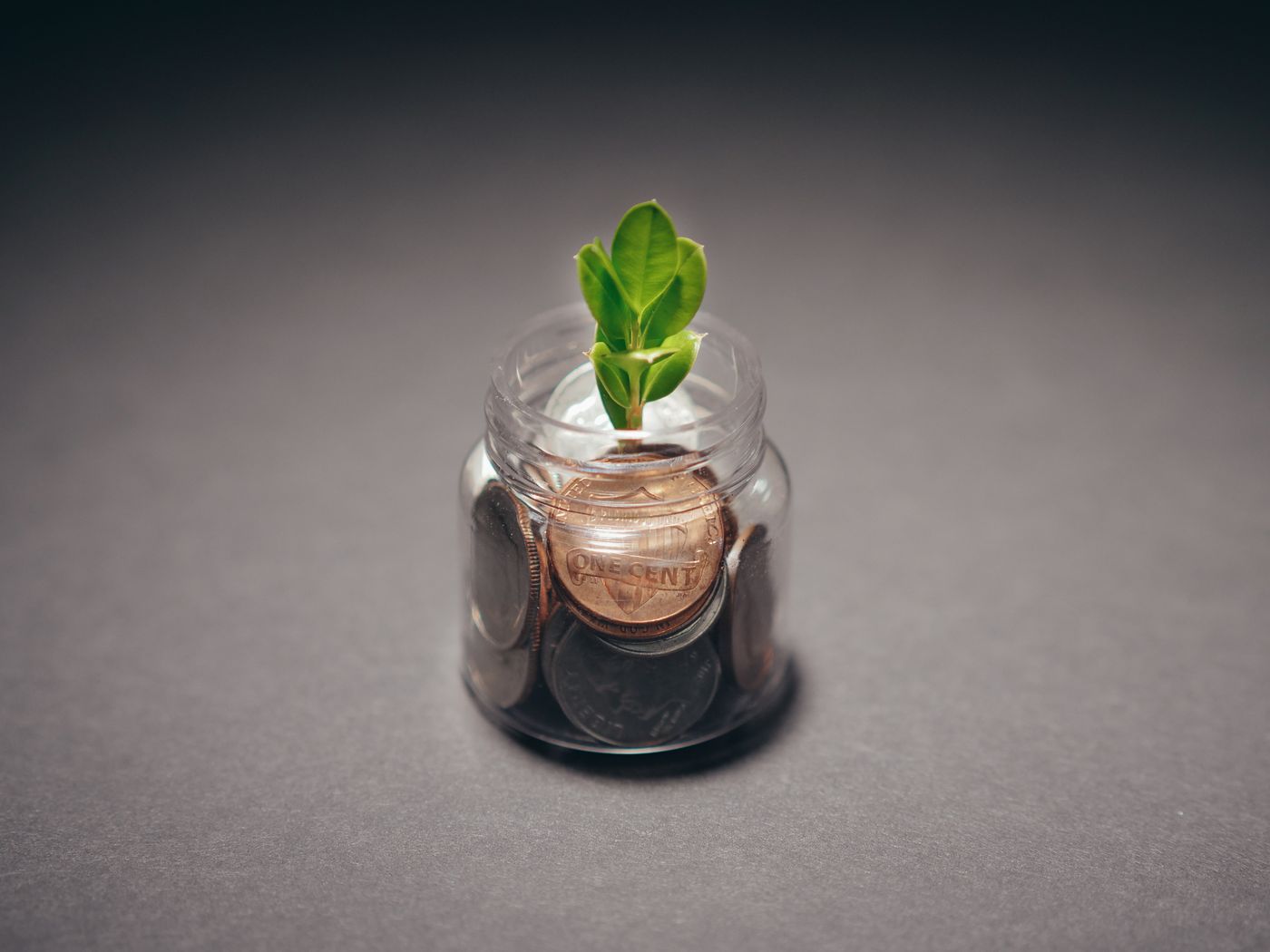 A small green seedling sprouting from a glass jar filled with coins, symbolizing compounding SEO growth over time
